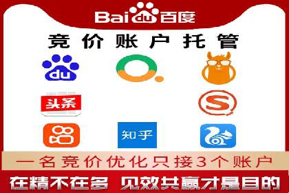 SEM推广代运营公司：实战案例解析